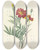 Triptych art skateboard deck of Pierre Joseph Redout Choix Des Plus Belles Fleurs Pl 104 by Pierre Joseph Redoute (1759-1840)