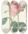 Triptych art skateboard deck of Pierre Joseph Redout Choix Des Plus Belles Fleurs Pl 086 by Pierre Joseph Redoute (1759-1840)