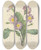 Triptych art skateboard deck of Pierre Joseph Redout Choix Des Plus Belles Fleurs Pl 082 by Pierre Joseph Redoute (1759-1840)