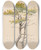 Triptych art skateboard deck of Friedrich Carl Von Scheidlin Study Of Deciduous Tree by Friedrich Carl Von Scheidlin (1822-1913)