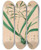 Triptych art skateboard deck of Joo Barbosa Rodrigues Iconographie Des Orchidees Du Bresil Pl06 by Joao Barbosa Rodrigues (1842-1909)