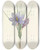 Triptych art skateboard deck of Pierre Joseph Redout Choix Des Plus Belles Fleurs Pl 028 by Pierre Joseph Redoute (1759-1840)