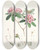 Triptych art skateboard deck of Walter Hood Fitch The Rhododendrons Of Sikkimhimalaya Pl17 by Walter Hood Fitch (1817-1892)