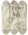 Triptych art skateboard deck of Peter Paul Rubens Heads And Necks Of Two Bulls In Profile by Peter Paul Rubens (1577-1640)