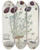 Triptych art skateboard deck of Martin Frobenius Ledermuller Amusement Microscopique Tant Pour Lesprit Que Pour Les Yeux Pl033 by Martin Frobenius Ledermu%Cc%88Ller (1719-1769)