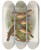 Triptych art skateboard deck of Johann Friedrich Naumann Erithacus Suecicus by Johann Friedrich Naumann (1780-1857)