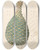Triptych art skateboard deck of Clemenz Heinrich Wehdemann Zamia Caffra Encephalartos Altensteinii Female Cone by Clemenz Heinrich Wehdemann (1762-1835)