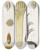 Triptych art skateboard deck of Martin Frobenius Ledermuller Amusement Microscopique Tant Pour Lesprit Que Pour Les Yeux Pl065 by Martin Frobenius Ledermu%Cc%88Ller (1719-1769)