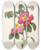 Triptych art skateboard deck of Pierre Joseph Redout Rosier De Provinsi A Fleurs Roses Et Simples From La Couronne Des Roses by Pierre Joseph Redoute (1759-1840)
