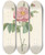 Triptych art skateboard deck of Pierre Joseph Redout Rosa Gallica Flore Marmoreo by Pierre Joseph Redoute (1759-1840)