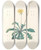 Triptych art skateboard deck of Pierre Joseph Redout La Botanique De J J Rousseau Pl 35 by Pierre Joseph Redoute (1759-1840)