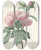 Triptych art skateboard deck of Pierre Joseph Redout Choix Des Plus Belles Fleurs Pl 071 by Pierre Joseph Redoute (1759-1840)