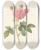 Triptych art skateboard deck of Pierre Joseph Redout Rosa Gallica Agatha Var Regalis by Pierre Joseph Redoute (1759-1840)