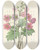 Triptych art skateboard deck of Pierre Joseph Redout Choix Des Plus Belles Fleurs Pl 081 by Pierre Joseph Redoute (1759-1840)