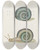 Triptych art skateboard deck of Martin Frobenius Ledermuller Amusement Microscopique Tant Pour Lesprit Que Pour Les Yeux Pl074 by Martin Frobenius Ledermu%Cc%88Ller (1719-1769)