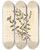 Triptych art skateboard deck of Elizabeth Blackwell Male Speedwell by Elizabeth Blackwell (1707-1758)