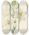 Triptych art skateboard deck of Pierre Joseph Redout Choix Des Plus Belles Fleurs Pl 045 by Pierre Joseph Redoute (1759-1840)