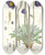 Triptych art skateboard deck of Walter Hood Fitch Meconopsis Simplicifolia H F Et T by Walter Hood Fitch (1817-1892)