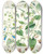 Triptych art skateboard deck of Walter Hood Fitch A C Gracilis H F Et T B Codonopsis Campanumcea Javanica Hf Et T C C Inflata Hf T by Walter Hood Fitch (1817-1892)