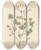 Triptych art skateboard deck of Elizabeth Blackwell French Sorrel by Elizabeth Blackwell (1707-1758)