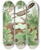 Triptych art skateboard deck of Edwin L Sheppard Yellowbilled Cuckoo by Edwin L Sheppard (1904)