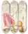 Triptych art skateboard deck of Joris Hoefnagel Imaginary Insect Tulip Spider And Common Pear by Joris Hoefnagel (1542-1600)