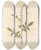 Triptych art skateboard deck of Elizabeth Blackwell Agrimony by Elizabeth Blackwell (1707-1758)