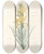 Triptych art skateboard deck of Pierre Joseph Redout La Botanique De J J Rousseau Pl 03 by Pierre Joseph Redoute (1759-1840)