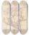 Triptych art skateboard deck of Louis Antoine Cusin Herbier De La Flore Franaise Pl0421 by Louis Antoine Cusin (1824-1901)
