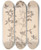 Triptych art skateboard deck of Louis Antoine Cusin Herbier De La Flore Franaise Pl0584 by Louis Antoine Cusin (1824-1901)