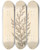 Triptych art skateboard deck of Elizabeth Blackwell Tamarisk by Elizabeth Blackwell (1707-1758)