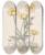 Triptych art skateboard deck of Willem Wenckebach Boterbloemen by Willem Wenckebach (1860-1937)
