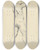 Triptych art skateboard deck of Tefan Polkorb Study Of Standing Male Nude by Stefan Polkorab