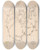 Triptych art skateboard deck of Louis Antoine Cusin Herbier De La Flore Franaise Pl0615 by Louis Antoine Cusin (1824-1901)