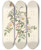 Triptych art skateboard deck of Pierre Joseph Redout Rosa Redutea Glauca by Pierre Joseph Redoute (1759-1840)