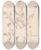 Triptych art skateboard deck of Louis Antoine Cusin Herbier De La Flore Franaise Pl0429 by Louis Antoine Cusin (1824-1901)
