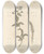 Triptych art skateboard deck of Elizabeth Blackwell Yarrow by Elizabeth Blackwell (1707-1758)