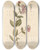 Triptych art skateboard deck of Elizabeth Blackwell Honey Suckle Wood Bind by Elizabeth Blackwell (1707-1758)