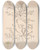 Triptych art skateboard deck of Louis Antoine Cusin Herbier De La Flore Franaise Pl0619 by Louis Antoine Cusin (1824-1901)