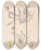 Triptych art skateboard deck of Louis Antoine Cusin Herbier De La Flore Franaise Pl0422 by Louis Antoine Cusin (1824-1901)
