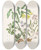 Triptych art skateboard deck of Agnes Fitzgibbon Sharp Lobed Heptica Large Flowered Bellwortwood Anemon Spring Beauty by Agnes Fitzgibbon (1833-1913)