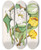 Triptych art skateboard deck of Agnes Fitzgibbon Sweet Scented Water Lily Yellow Pond Lily by Agnes Fitzgibbon (1833-1913)