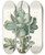 Triptych art skateboard deck of Herman Saftleven Vetplant Cotyledon Orbiculata by Herman Saftleven (1609-1685)