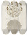 Triptych art skateboard deck of Martin Frobenius Ledermuller Amusement Microscopique Tant Pour Lesprit Que Pour Les Yeux Pl007 by Martin Frobenius Ledermu%Cc%88Ller (1719-1769)