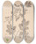 Triptych art skateboard deck of Louis Antoine Cusin Herbier De La Flore Franaise Pl0579 by Louis Antoine Cusin (1824-1901)