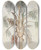 Triptych art skateboard deck of Ferdinand Keller Krone Einer Palme Syagrus Macrocarpa In Juiz De Fora by Ferdinand Keller (1842-1922)