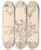 Triptych art skateboard deck of Louis Antoine Cusin Herbier De La Flore Franaise Pl0426 by Louis Antoine Cusin (1824-1901)