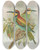 Triptych art skateboard deck of Johann Friedrich Naumann Merops Apiaster by Johann Friedrich Naumann (1780-1857)