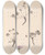 Triptych art skateboard deck of Louis Antoine Cusin Herbier De La Flore Franaise Pl0066 by Louis Antoine Cusin (1824-1901)