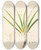 Triptych art skateboard deck of William Roxburgh Plants Of The Coast Of Coromandel Pl013 by William Roxburgh (1751-1815)